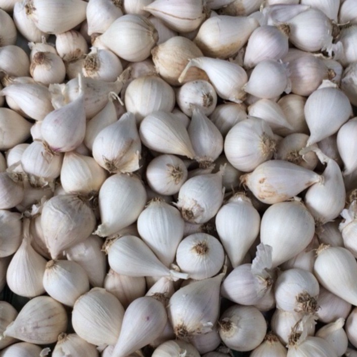 Tỏi cô đơn Ấn Độ 500g