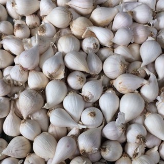 Tỏi cô đơn Ấn Độ 500g