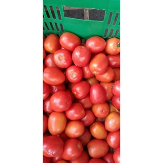 Giao HCM Cà Chua Sạch 0.3kg Trồng Tại Đà Lạt