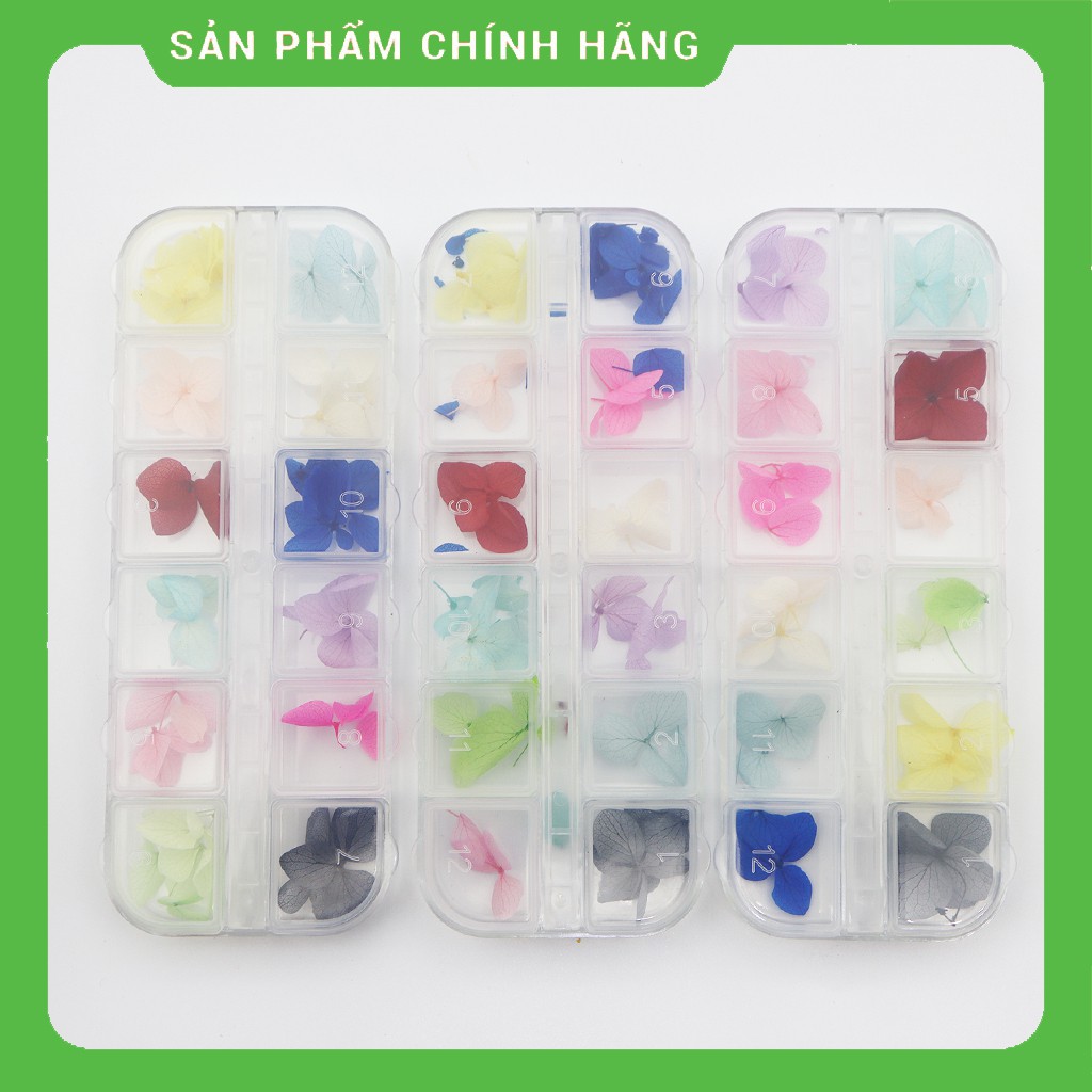Hoa khô nail , hoa khô trang trí móng