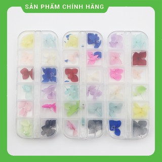Hoa khô nail , hoa khô trang trí móng