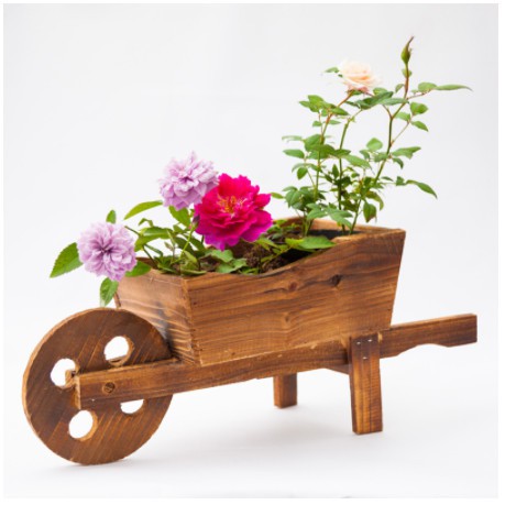 Chậu trồng sen đá, xương rồng bằng gỗ hình xe rùa/ chậu gỗ/ wooden planter