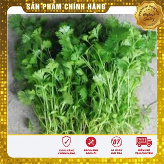 Hạt Giống Rau Mùi Tía(30 gr)