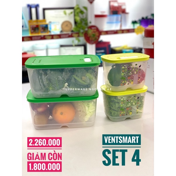 Bán lẻ - Hộp bảo quản rau củ ventsmart Tupperware