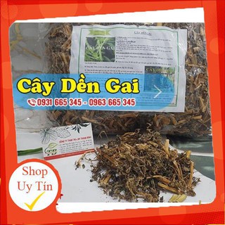 Combo 2 Kg Cây Dền Gai Khô 100% Tự Nhiên - Lương Y Thanh Bình