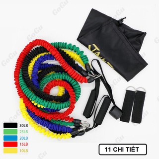 Dây đàn hồi tập gym pro-zd11, bộ dây tập thể lực 5 màu