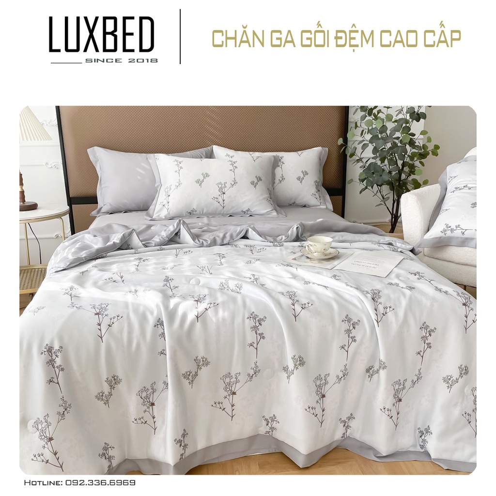 Set Chăn hè tencel gồm chăn trần sẵn, 02 vỏ gối, 01 ga freesize hàng nhập nhiều mẫu BST Họa tiết