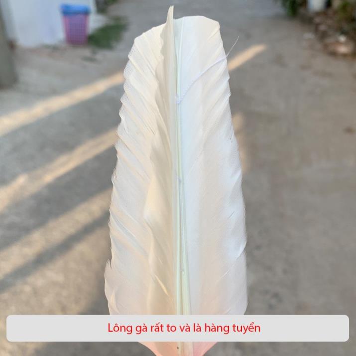 Cầu đá cao cấp giá siêu rẻ, Cầu đá nghệ thuật