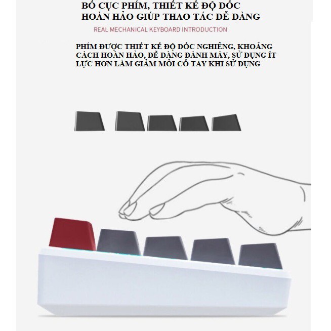 Bàn phím cơ không dây Latope bàn phím máy tính blutooth Led trắng K950