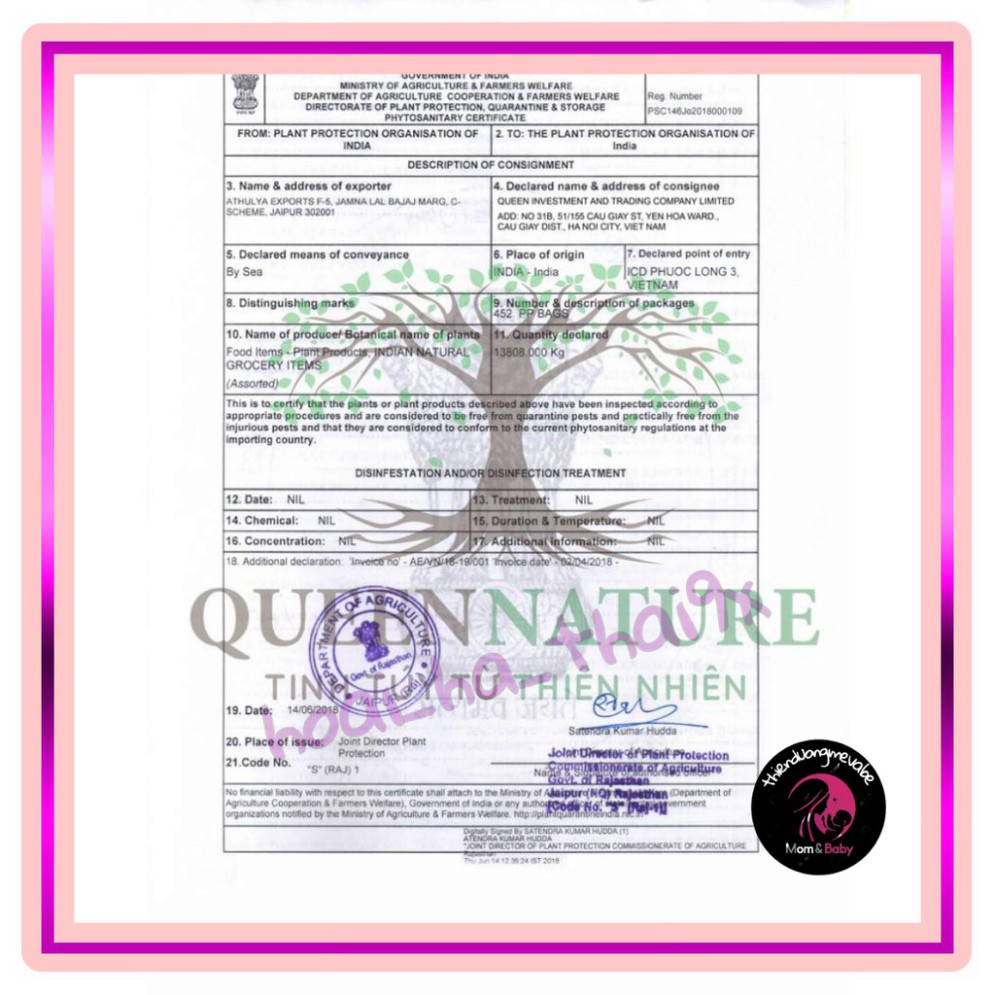 NGŨ CỐC BÀ BẦU SIÊU DINH DƯỠNG QUEEN NATURE 800GR