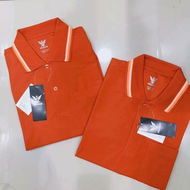 Áo poligan.. | BigBuy360 - bigbuy360.vn