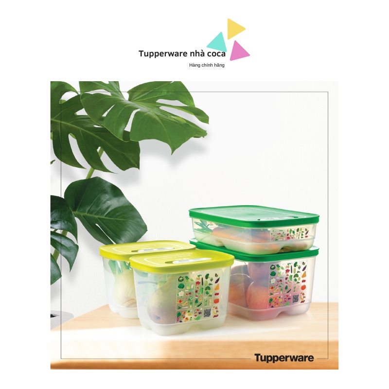 Lẻ hộp trữ mát ventsmart 1.8L cao/1.8L thấp/4.4L tupperware hàng chính hãng