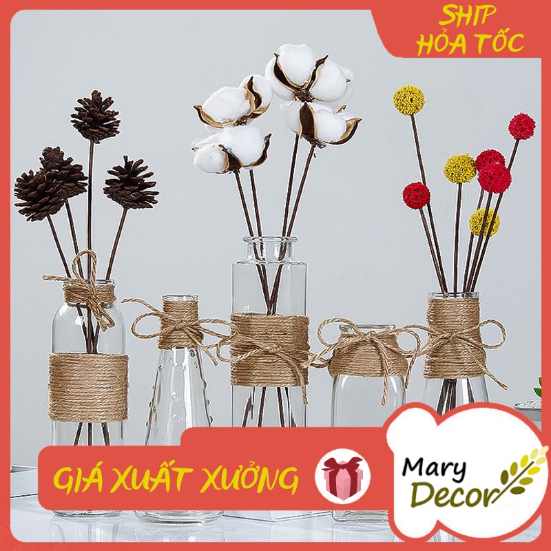 Lọ hoa thủy tinh trong - Bình hoa decor trang trí dây gai vintage decor