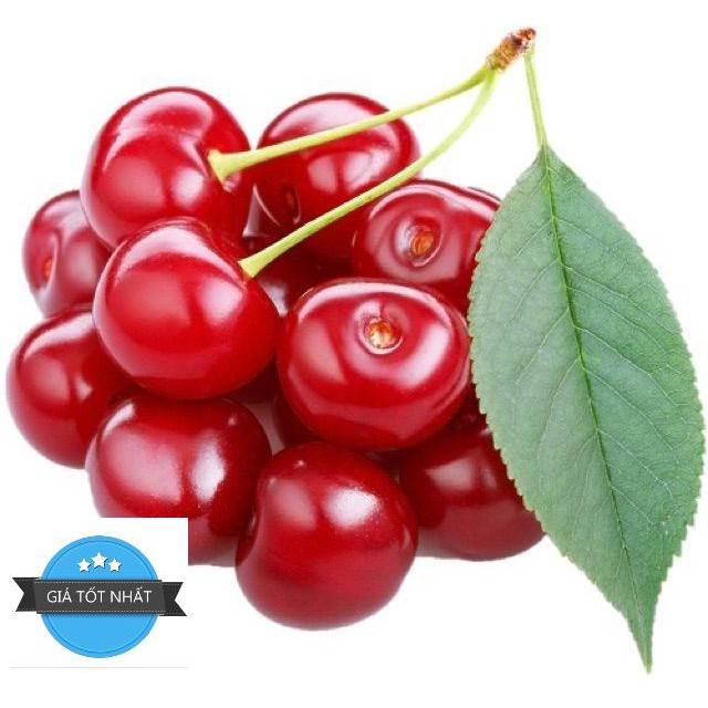 Hạt giống Anh đào (Cherry) (5 hạt) ĐẾN MÙA TRỒNG TẾT