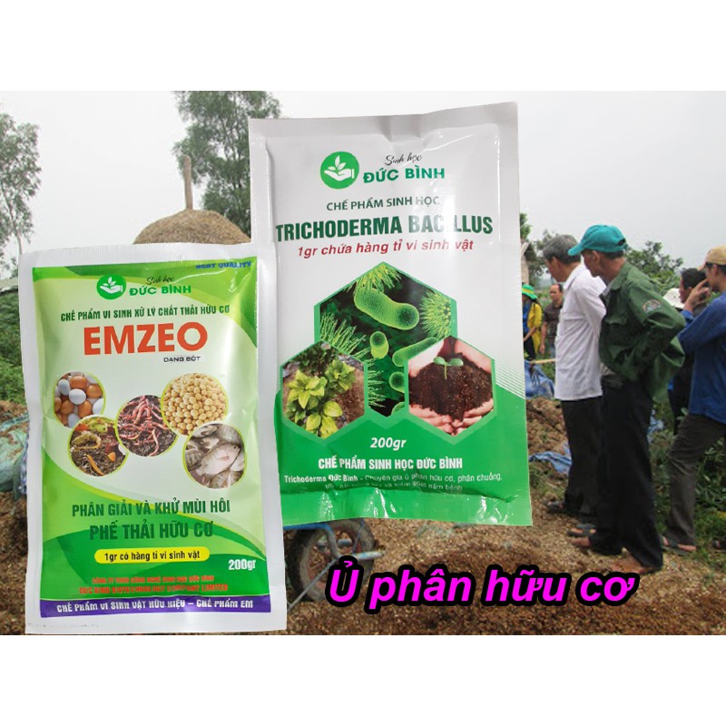 Chế phẩm vi sinh trichoderma bacillus + chế phẩm EMZEO ủ phân chuồng , rơm rạ, lá cây, mùn cưa