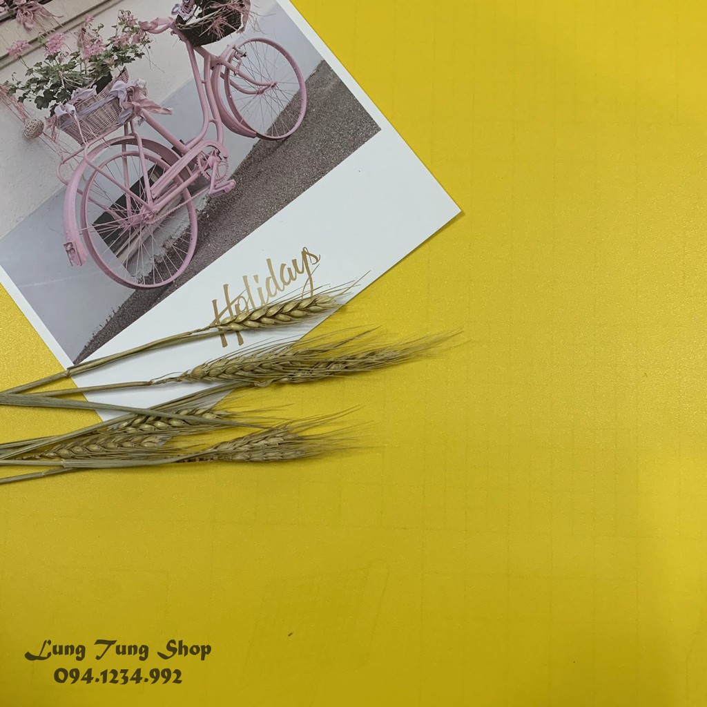 Phông nền giấy dán tường màu vàng nhám khổ 1,2m - thảm chụp hình ảnh sản phẩm