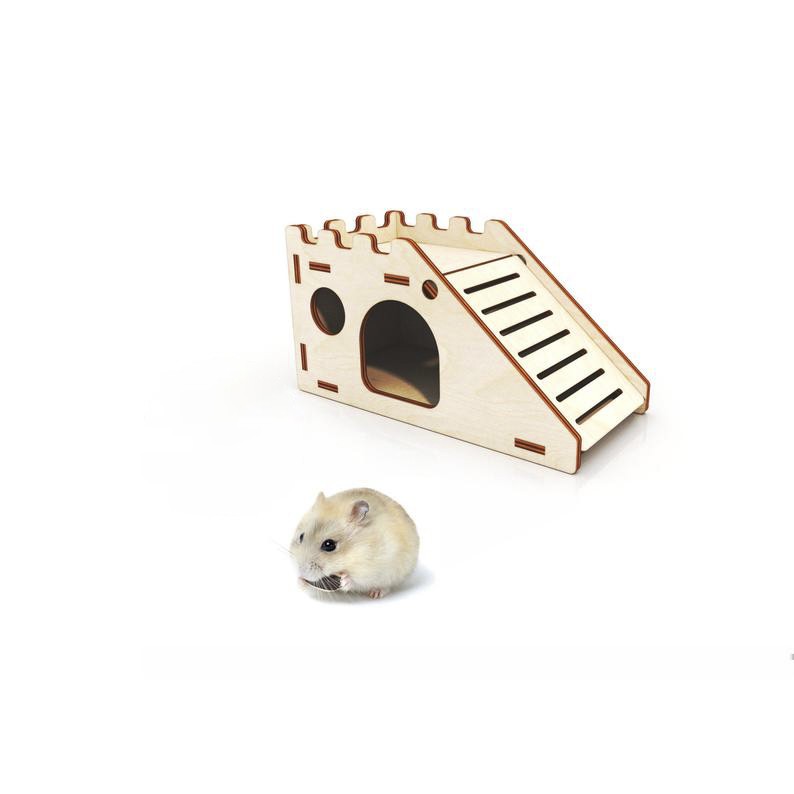 Nhà cầu thang Hamster