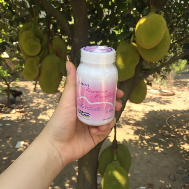 Thuốc nở ngực Pueraria Mirifica 500mg (hàng thật)