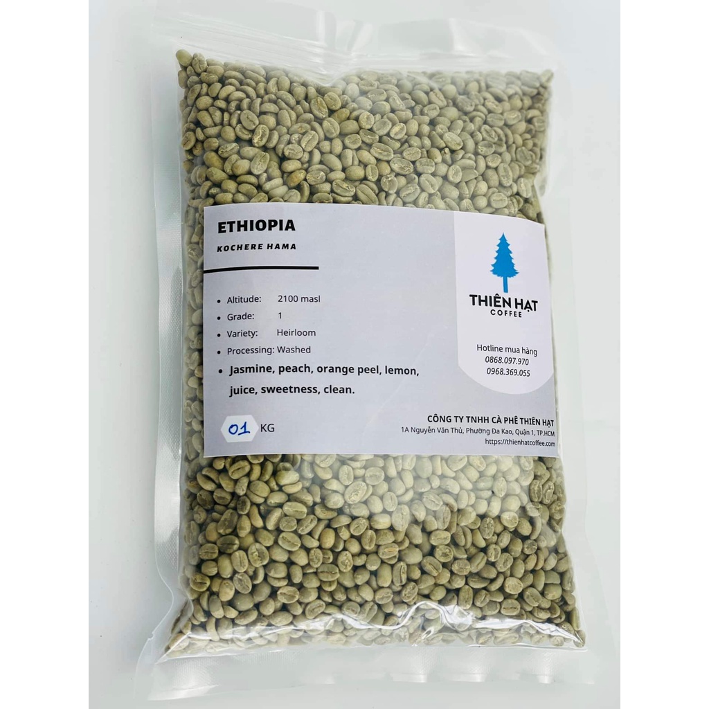 Mayaca Arabica Ethiopian SME1 – 500g