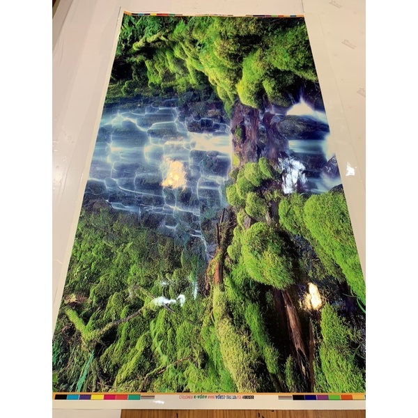 Tranh 3D - phông nền dán hồ cá, bể thuỷ sinh siêu đẹp và nét, có keo sẵn trên bề mặt,có thể in theo KT yêu cầu AQB21-197