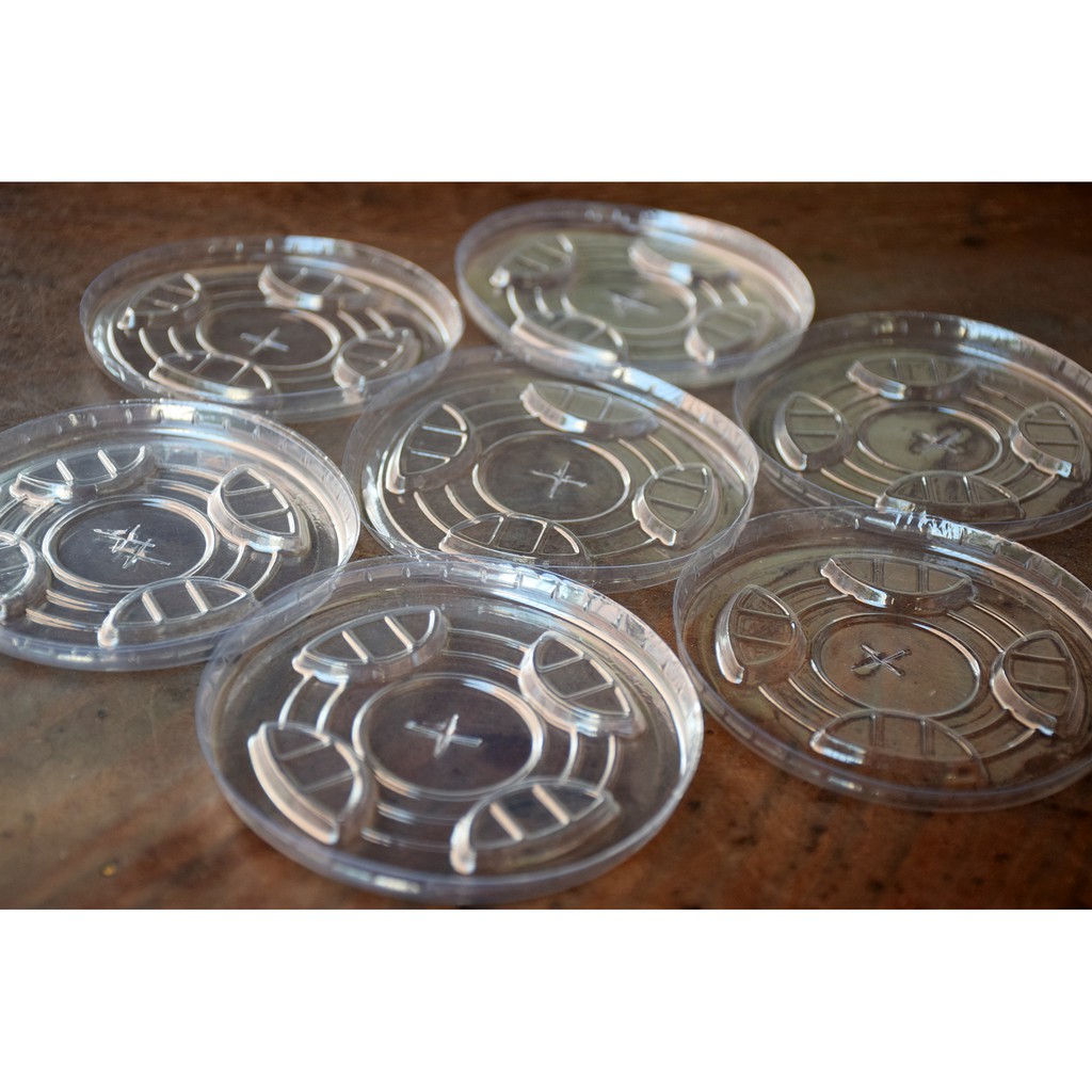 [140ml-50 ly] Ly Nhựa 140ml uống nước, dùng trong phòng khám, văn phòng, ly nhựa dùng 1 lần. GIÁ RẺ! | BigBuy360 - bigbuy360.vn