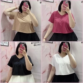 Áo thun Coptop Bigsize phom siêu hách dáng