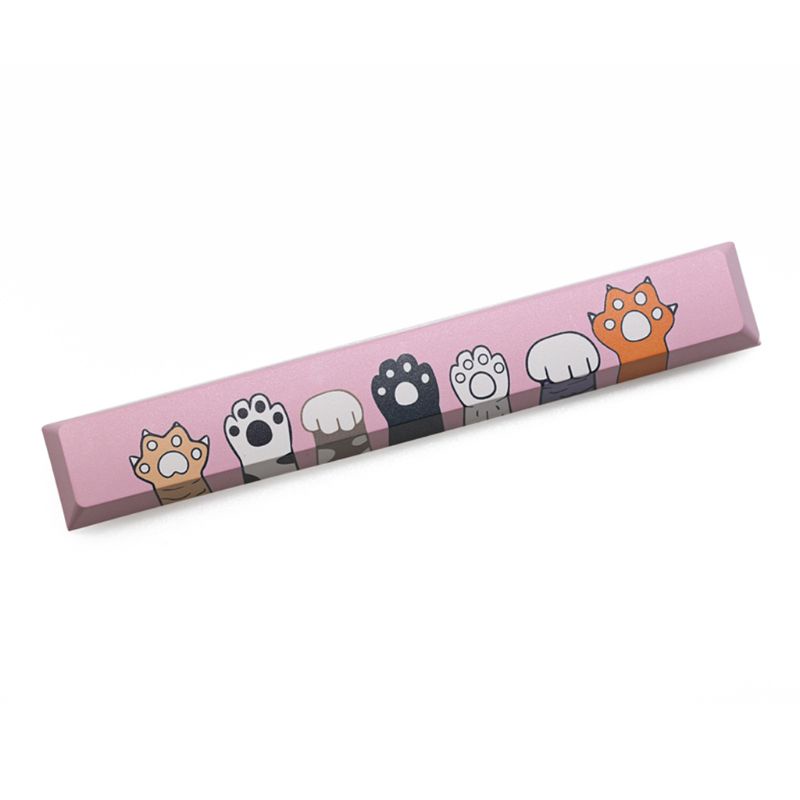 Nắp phím SpaceBar PBT năm mặt nhuộm màu 6.25U cho bàn phím cơ