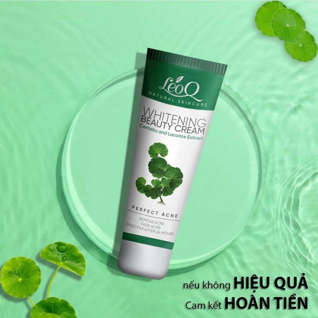 Kem chấm mụn LeoQ Perfect Acne 15g chiết xuất rau má và cam thảo hiệu quả nhanh sau 24h