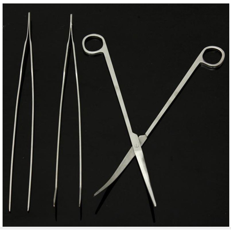 Kéo và nhíp cắt cắm cây thuỷ sinh inox Japan