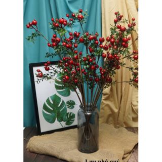 Lựu phú quý. 35k