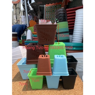 Chậu vuông 7cm, 10cm trồng sen đá, cây kiểng nhỏ