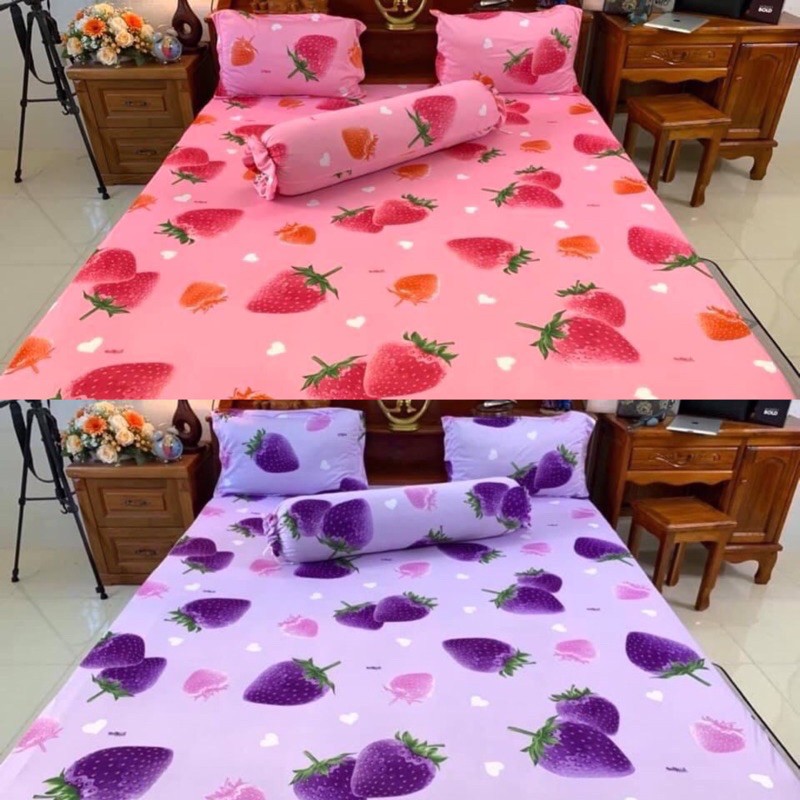 Bộ Drap thun Hàn Quốc 4 món mẫu dâu tây hồng và tím
