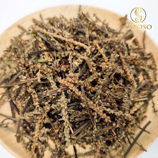 Cây mã đề khô SATOSO 1kg tốt cho người bị thận và đường tiết niệu SA17