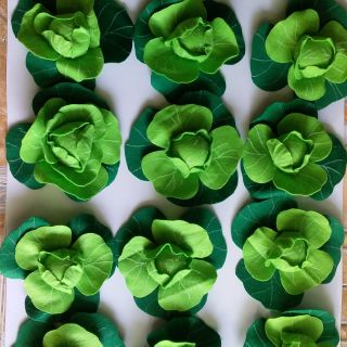 Bắp cải( đồ mầm non)