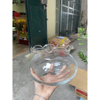 Bể cá thuỷ tinh dáng tròn miệng bèo.Cóng cá thuỷ tinh nuôi trồng cá cảnh, thuỷ sinh.