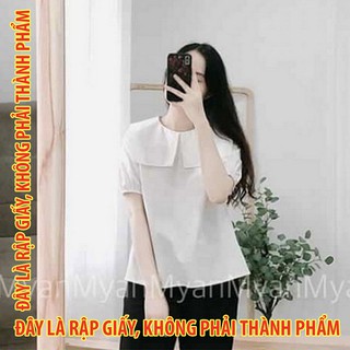 Rập giấy LL012 - Áo Tiểu thư Cổ sen đại