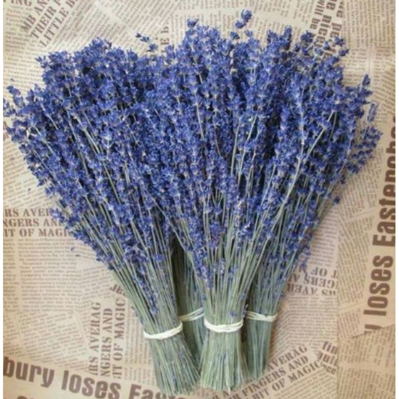 Bó hoa khô hoa lavender 130g (nhập Anh, nhập Pháp) KÈM VIDEO HÌNH THẬT, tặng kèm túi thơm