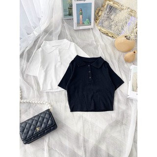 ÁO CROPTOP POLO THUN GÂN