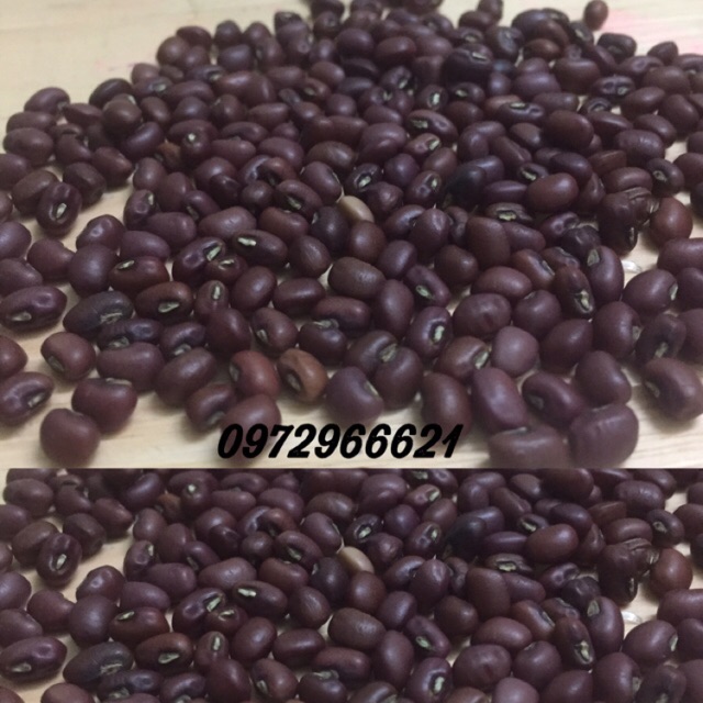 Đậu đỏ hạt nhỏ