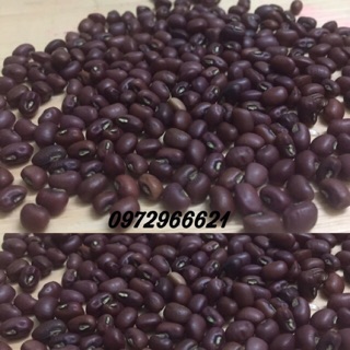 Đậu đỏ hạt nhỏ