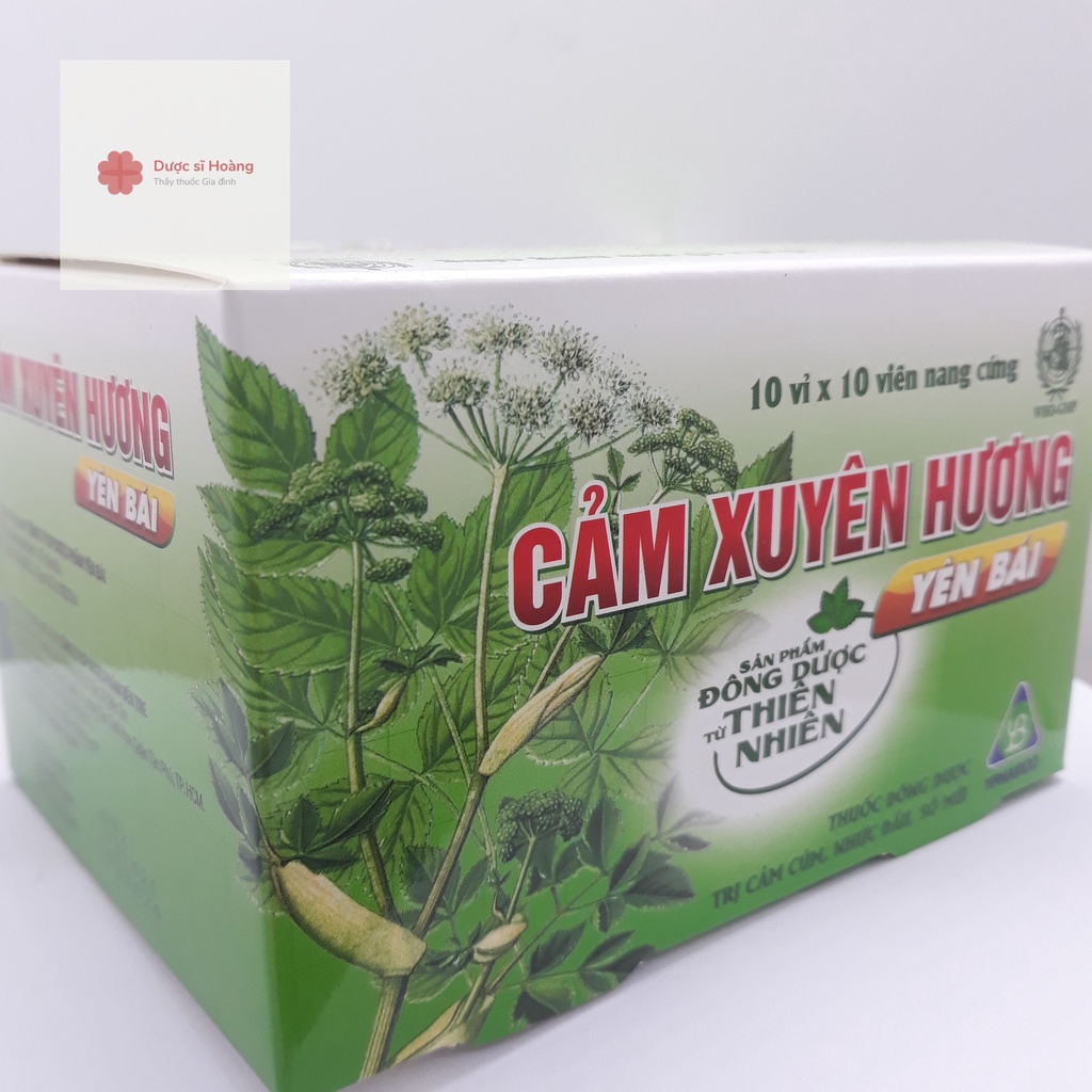 Cảm xuyên hương Yên Bái hộp 10 vỉ