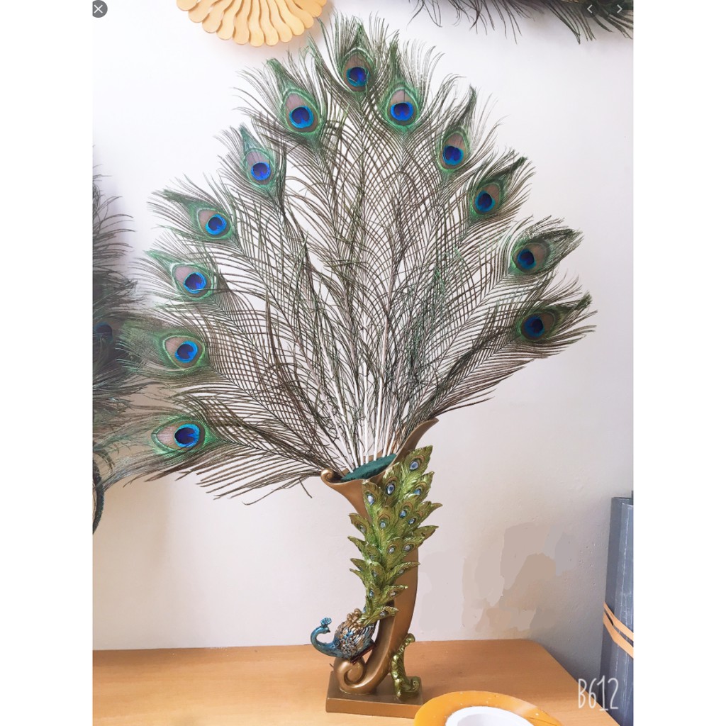 Combo 10 Lông công trang trí phong thủy tài lộc 28-35cm | BigBuy360 - bigbuy360.vn