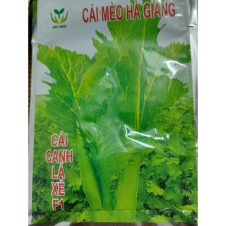 Hạt giống Cải canh lá xẻ f1