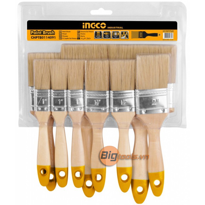 BỘ 9 CỌ SƠN INGCO CHPTB0114091