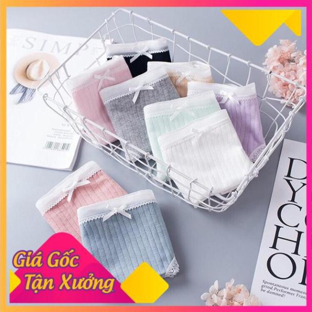 Quần Lót Cotton Tăm Viền Ren xuất Nhật 5362