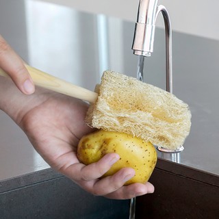 Cây cọ rửa ly cốc chén bình bằng xơ mướp giá rẻ ở Hà Nội