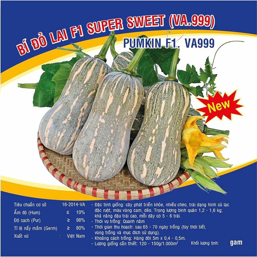 Hạt giống Bí Đỏ Lai F1 Super Sweet (VA.999)
