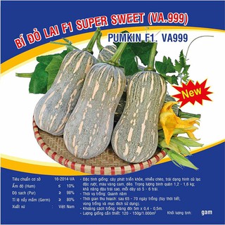Hạt giống Bỉ đỏ lai F1 Super Sweet (VA.999) – 100 hạt