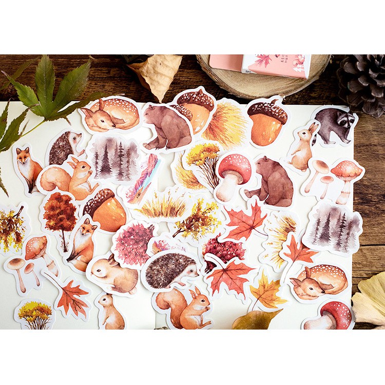 Hộp 46 miếng sticker mẫu con sóc và khu rừng mùa thu