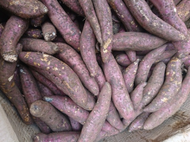 Khoai lang mật Đà Lạt sỉ và lẻ các tỉnh nha mn, bao ngon và chất lượng | BigBuy360 - bigbuy360.vn